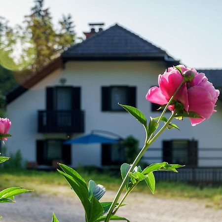 שקופיה-לוקה Apartments Zakrasnik מראה חיצוני תמונה
