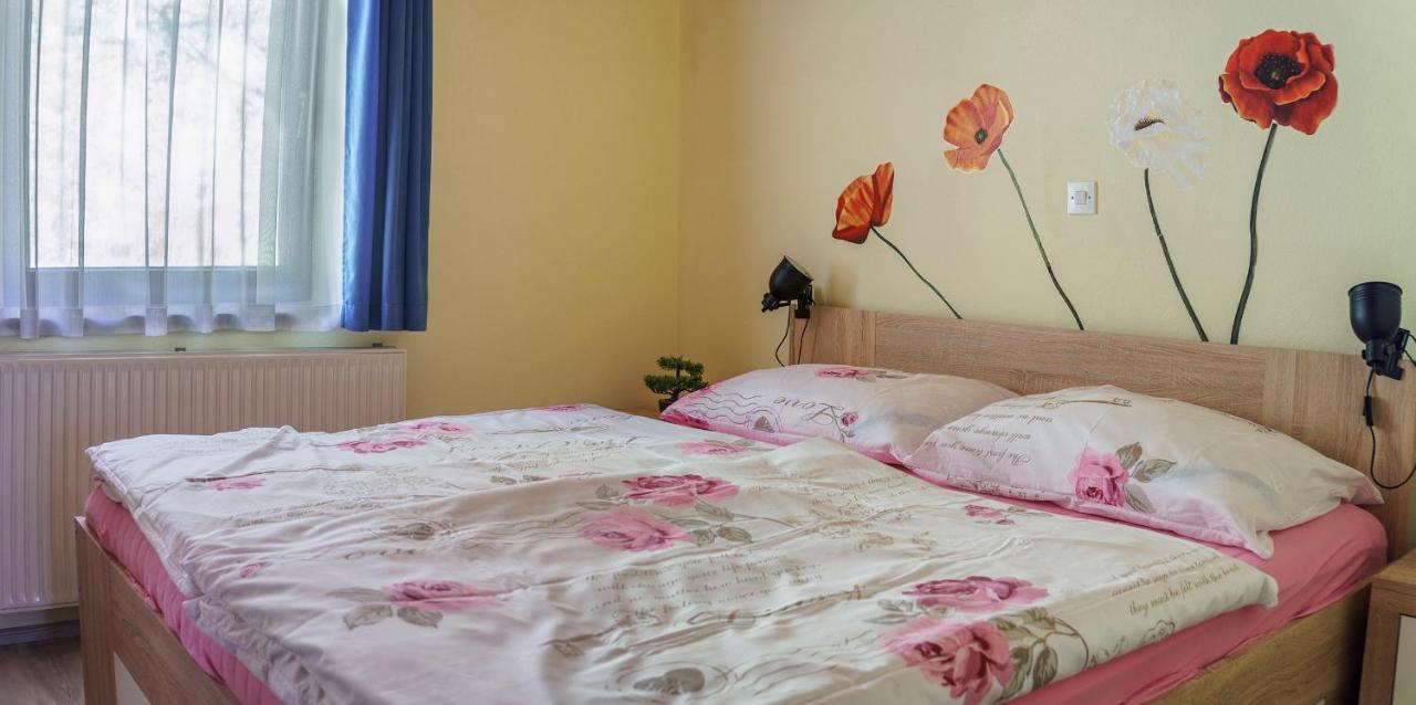 שקופיה-לוקה Apartments Zakrasnik מראה חיצוני תמונה