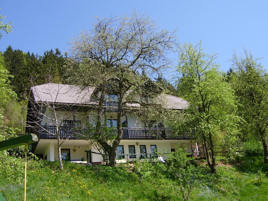 שקופיה-לוקה Apartments Zakrasnik מראה חיצוני תמונה